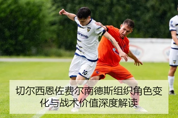 切尔西恩佐费尔南德斯组织角色变化与战术价值深度解读