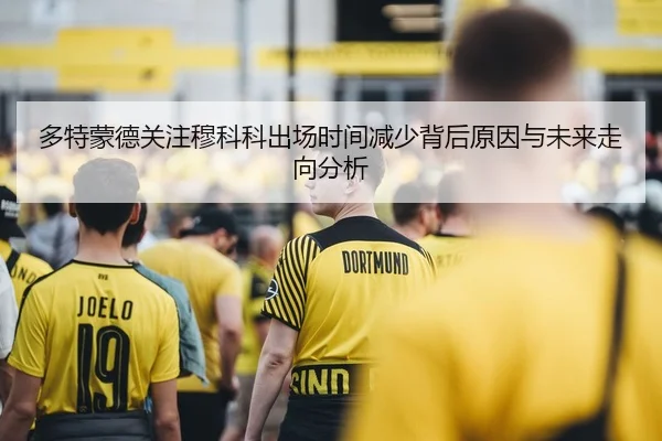 多特蒙德关注穆科科出场时间减少背后原因与未来走向分析