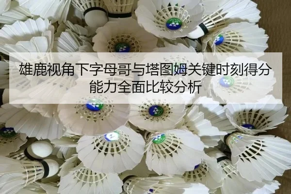 雄鹿视角下字母哥与塔图姆关键时刻得分能力全面比较分析