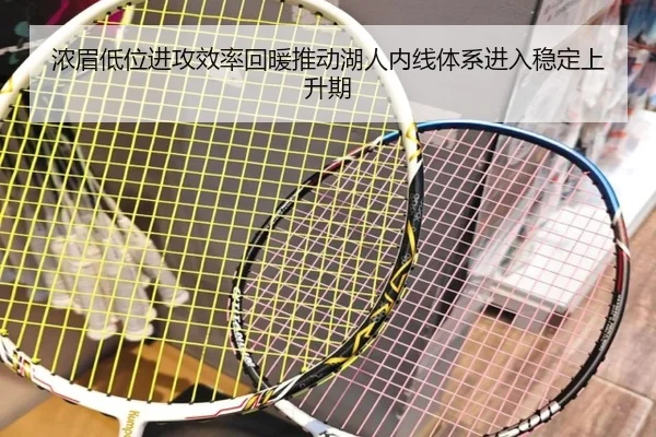 浓眉低位进攻效率回暖推动湖人内线体系进入稳定上升期